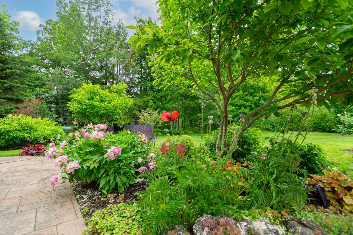 10 Earl Cook Drive, Whitchurch-Stouffville