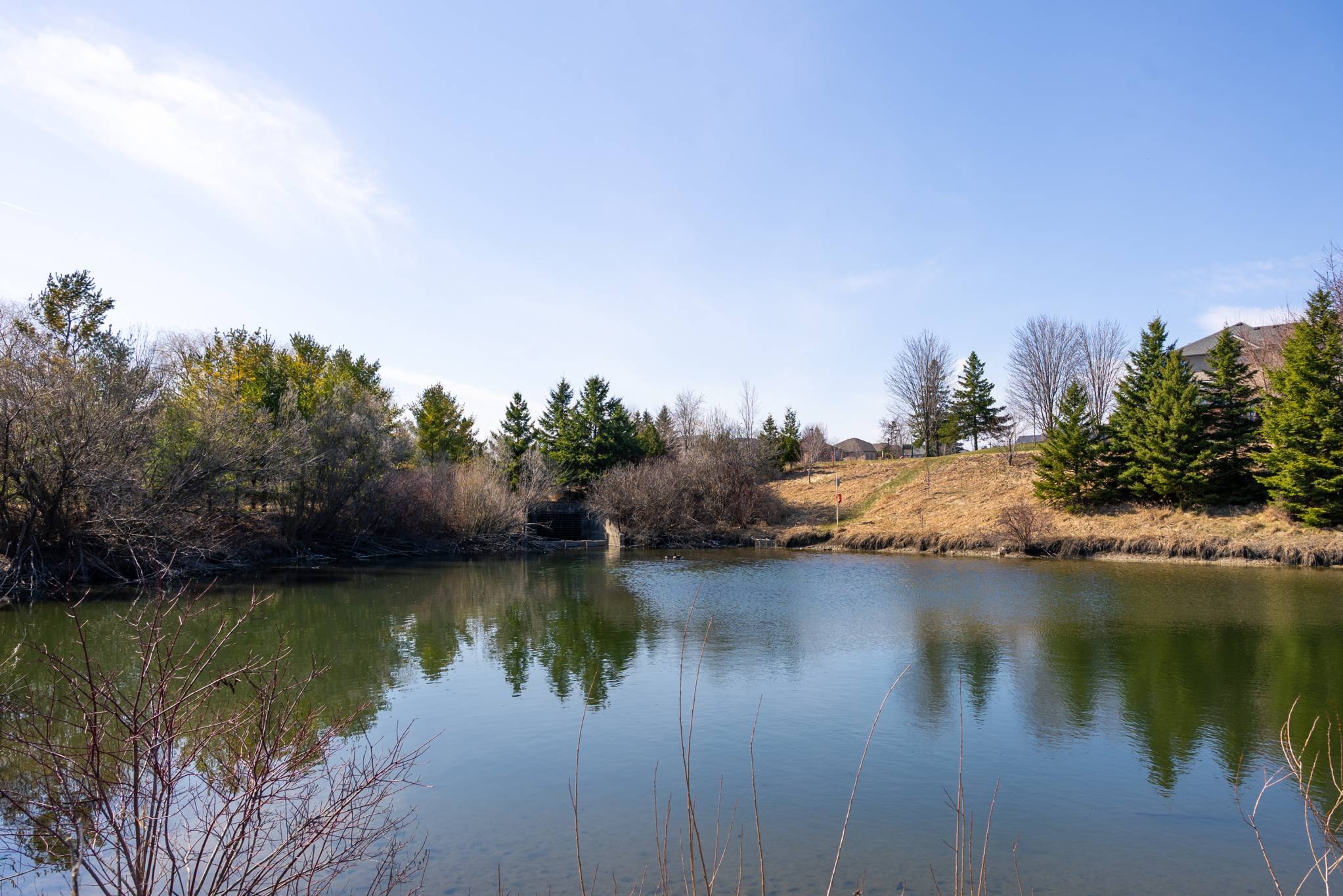 129 Fox Hound Crescent, Vaughan
