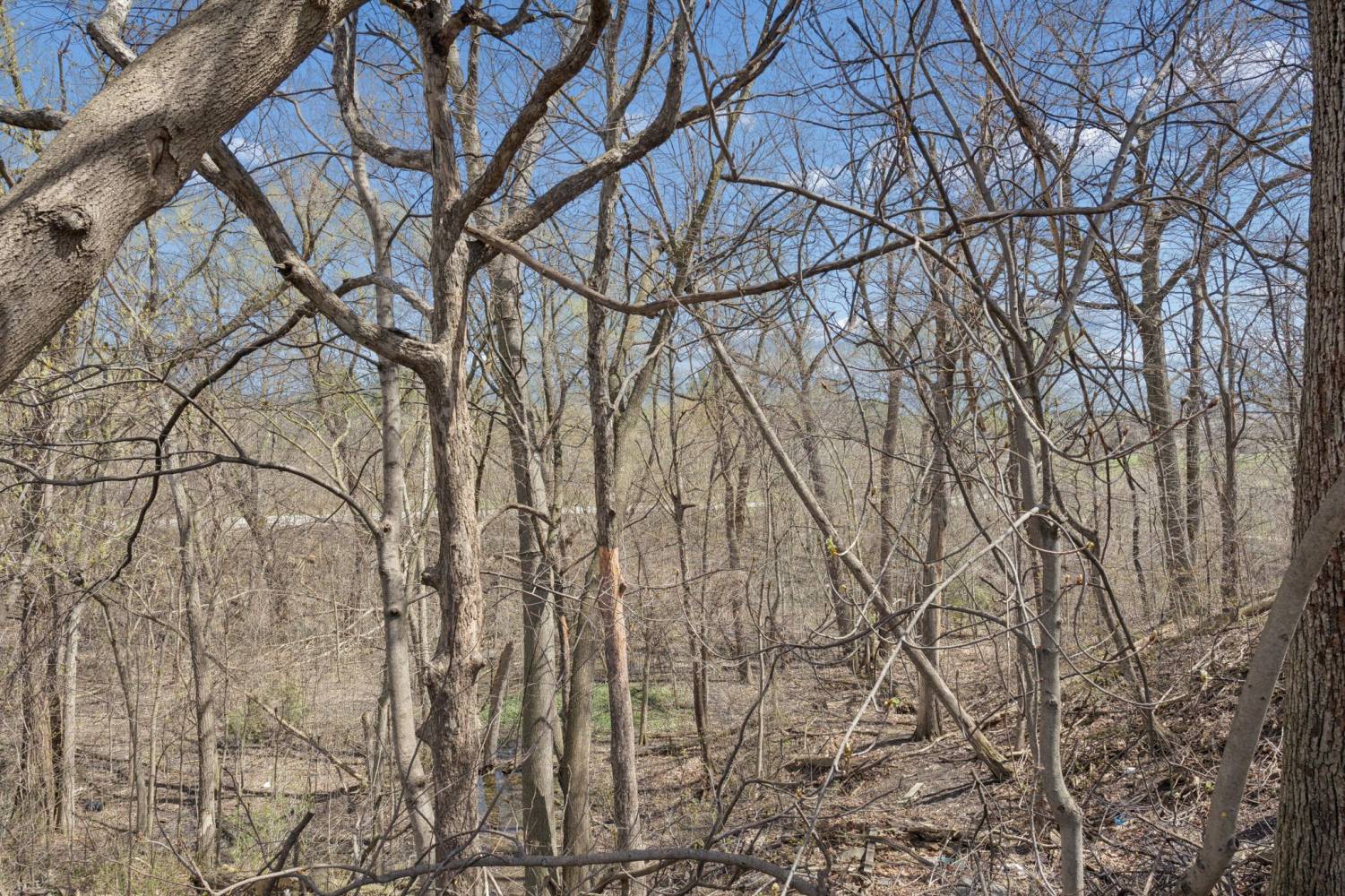 133 Cornelius Parkway, Toronto