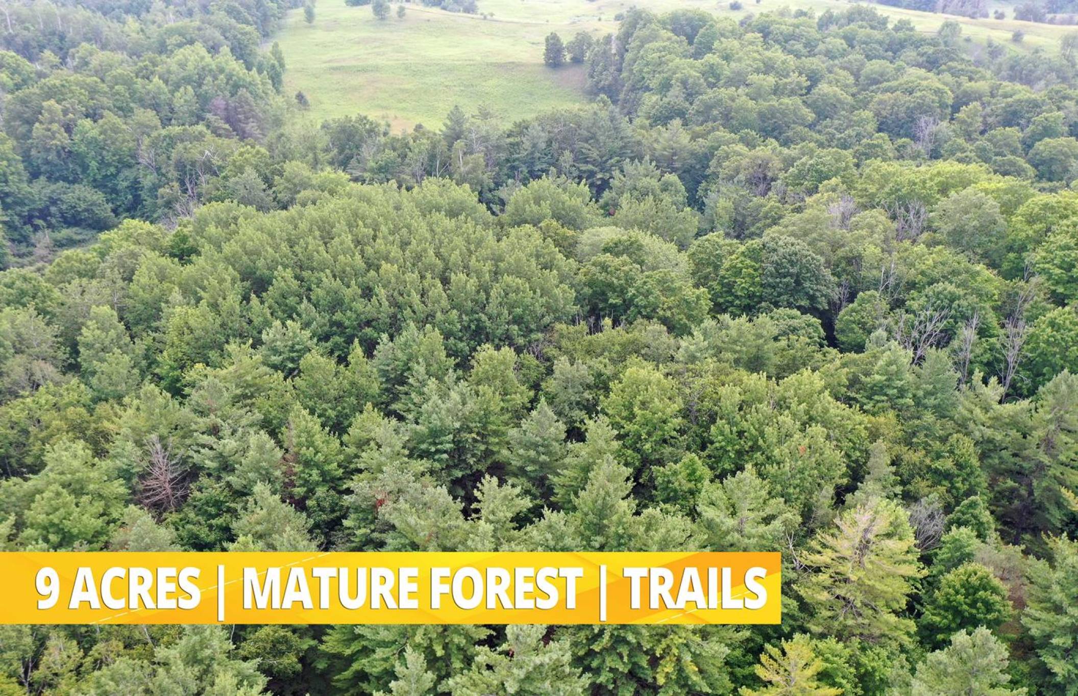 14834 York Durham Ln, Stouffville - Custom Built Stone Estate on 9 Private Rolling Acres