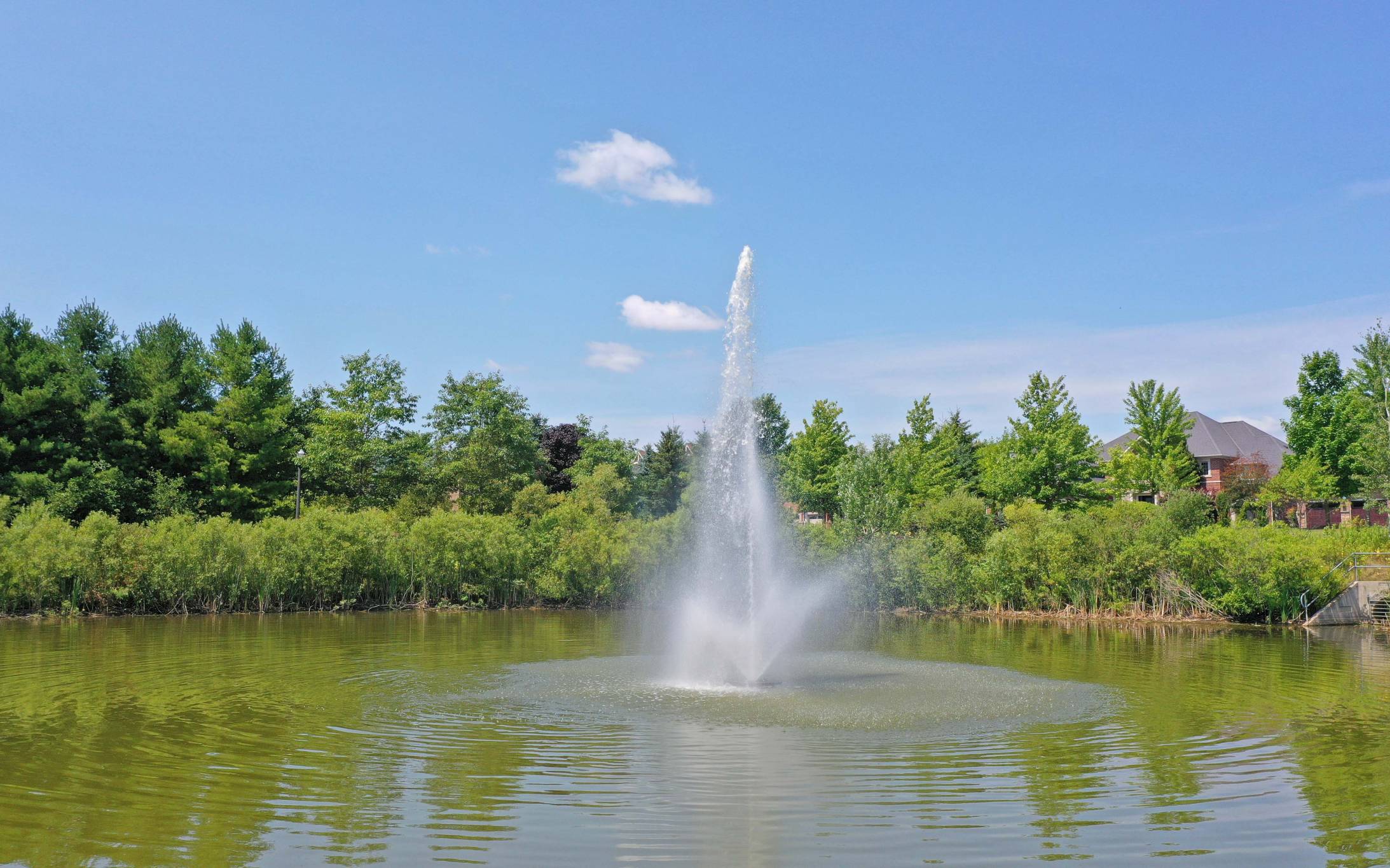 15 Forestgreen Drive, Uxbridge