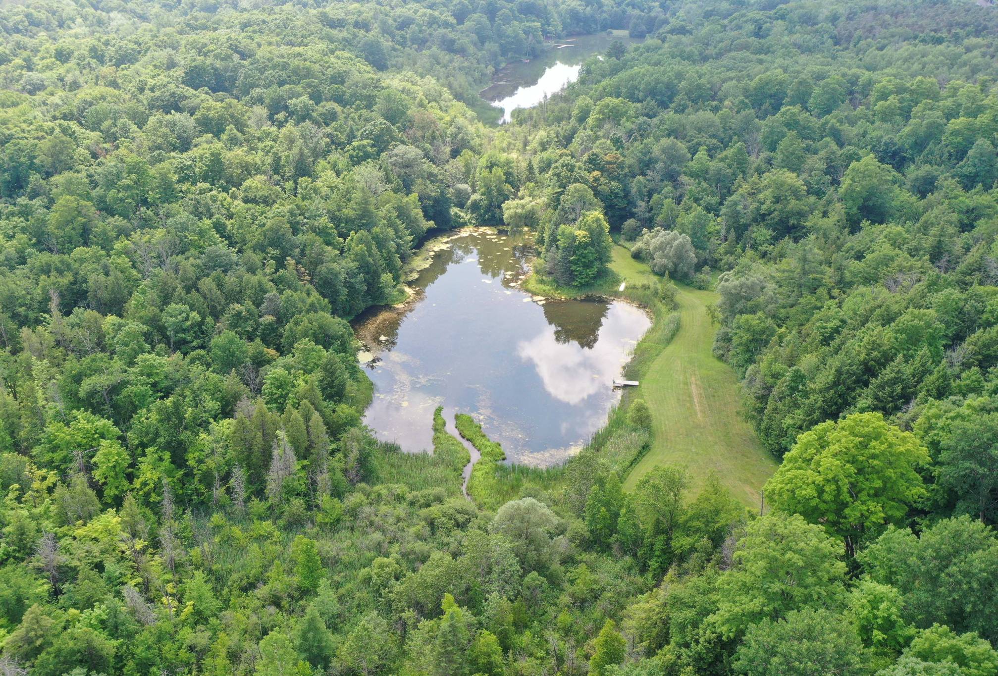 15660 Kennedy Rd, Stouffville - 24 Acres with 2 Acre Pond and Mature Forests