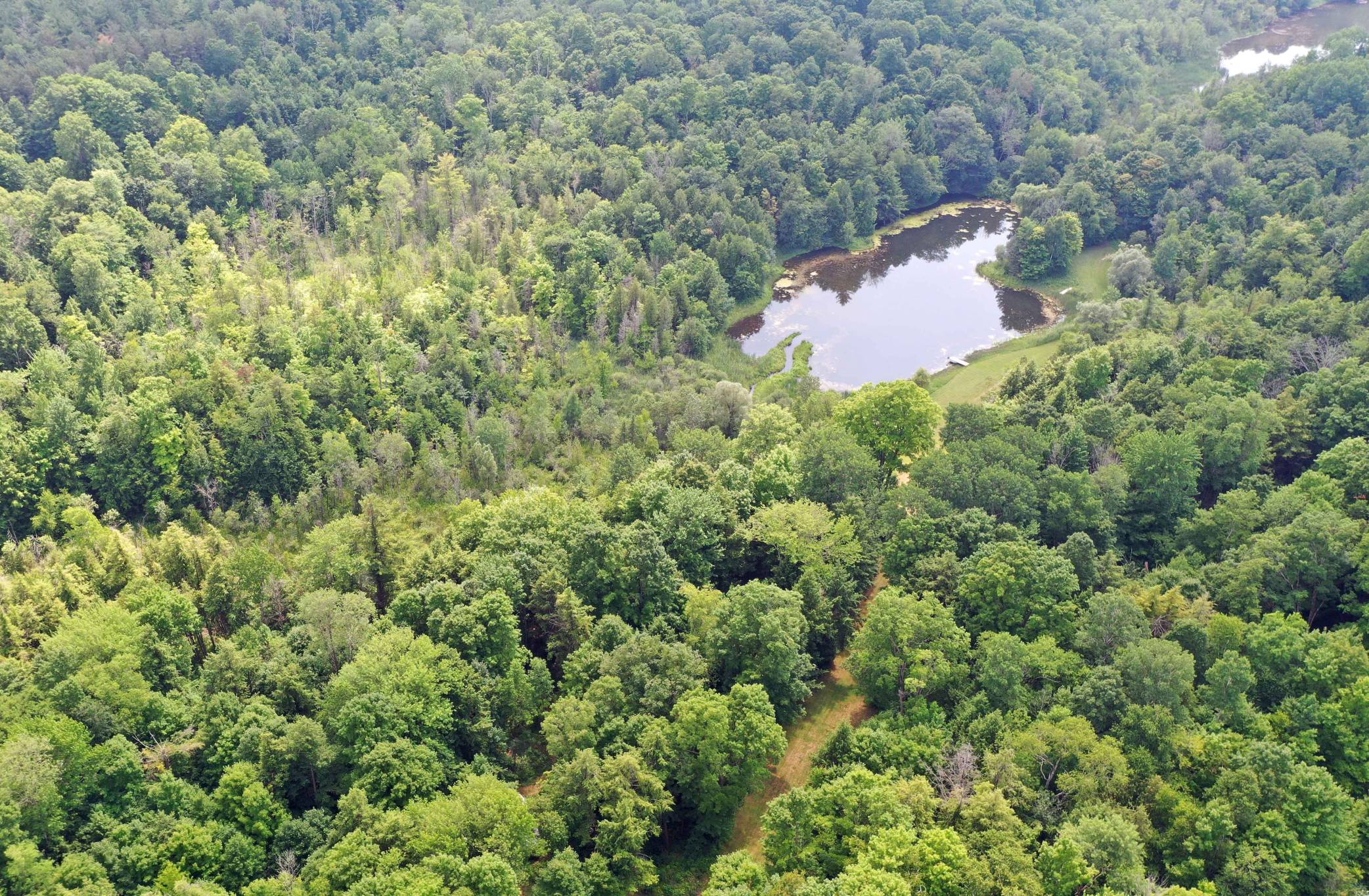 15660 Kennedy Rd, Stouffville - 24 Acres with 2 Acre Pond and Mature Forests