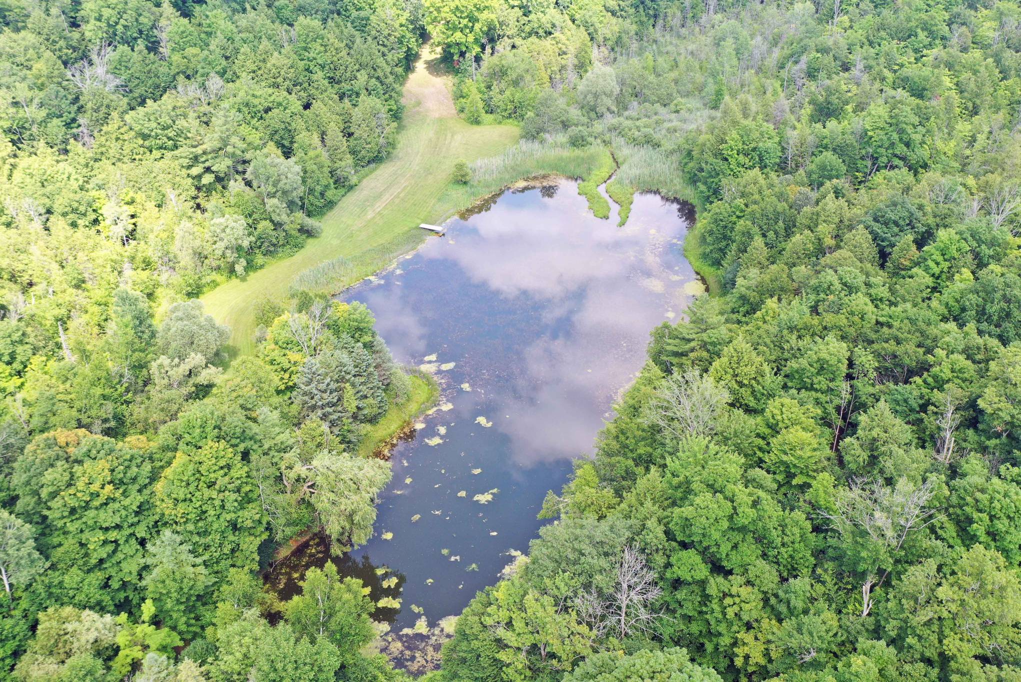 15660 Kennedy Rd, Stouffville - 24 Acres with 2 Acre Pond and Mature Forests