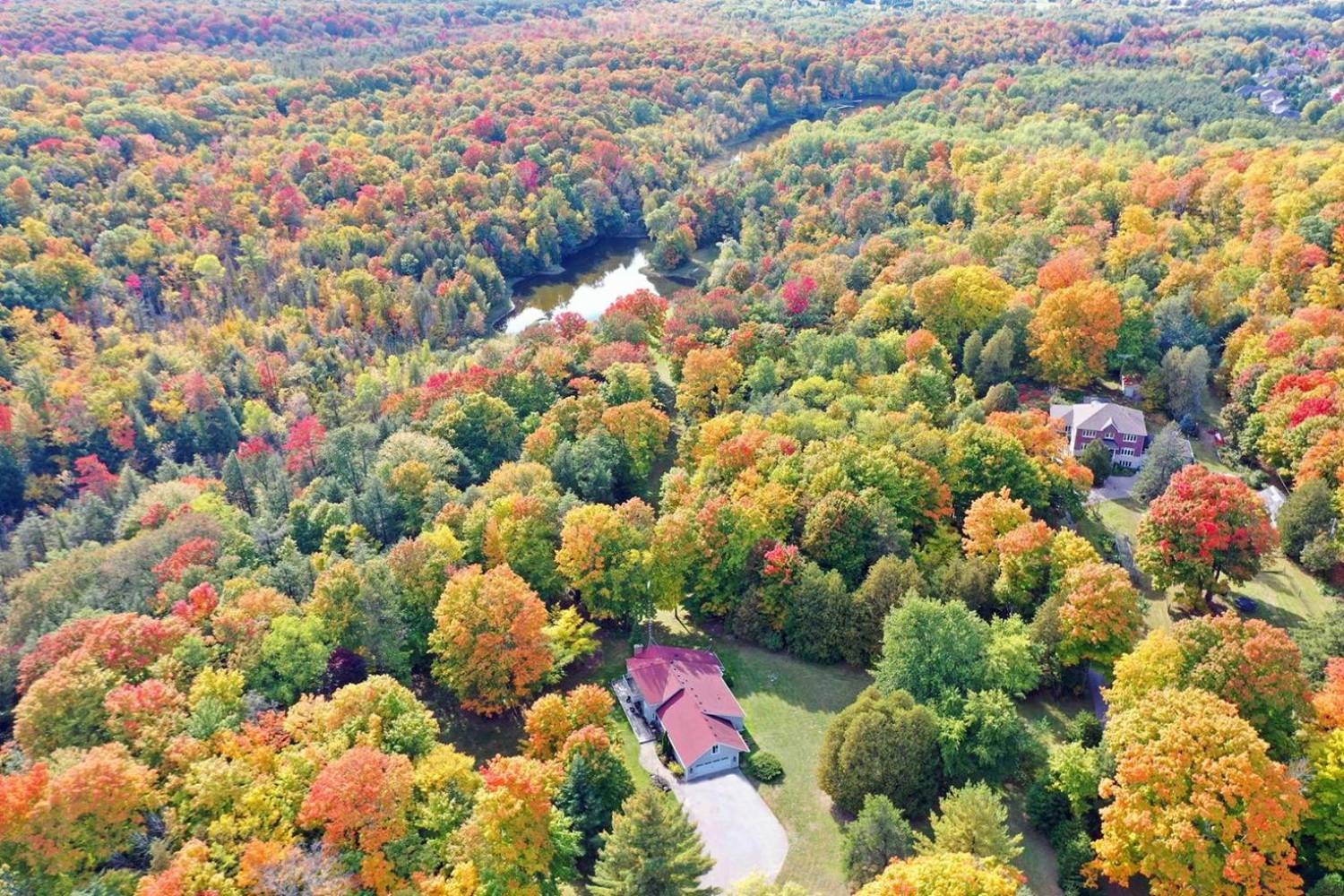 15660 Kennedy Rd, Stouffville - 24 Acres with 2 Acre Pond and Mature Forests