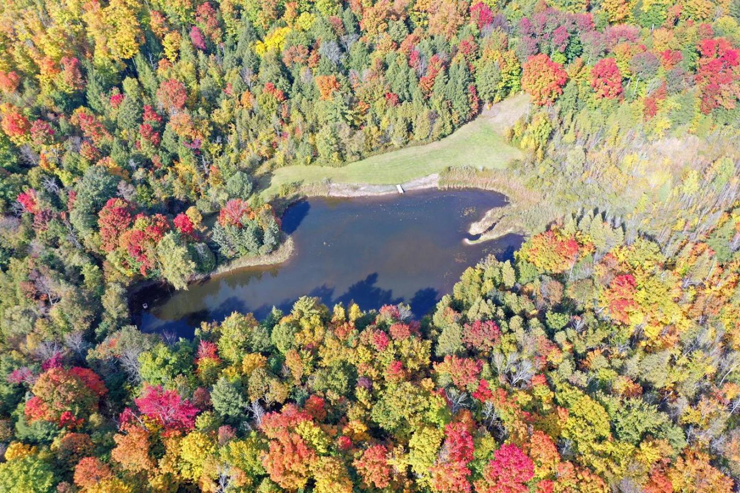 15660 Kennedy Rd, Stouffville - 24 Acres with 2 Acre Pond and Mature Forests