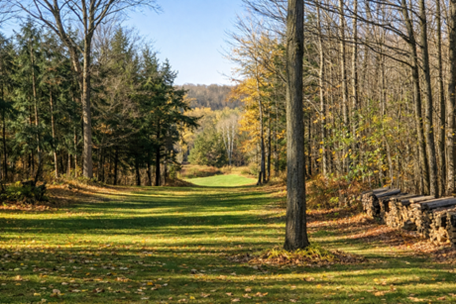 15660 Kennedy Rd, Stouffville - 24 Acres with 2 Acre Pond and Mature Forests