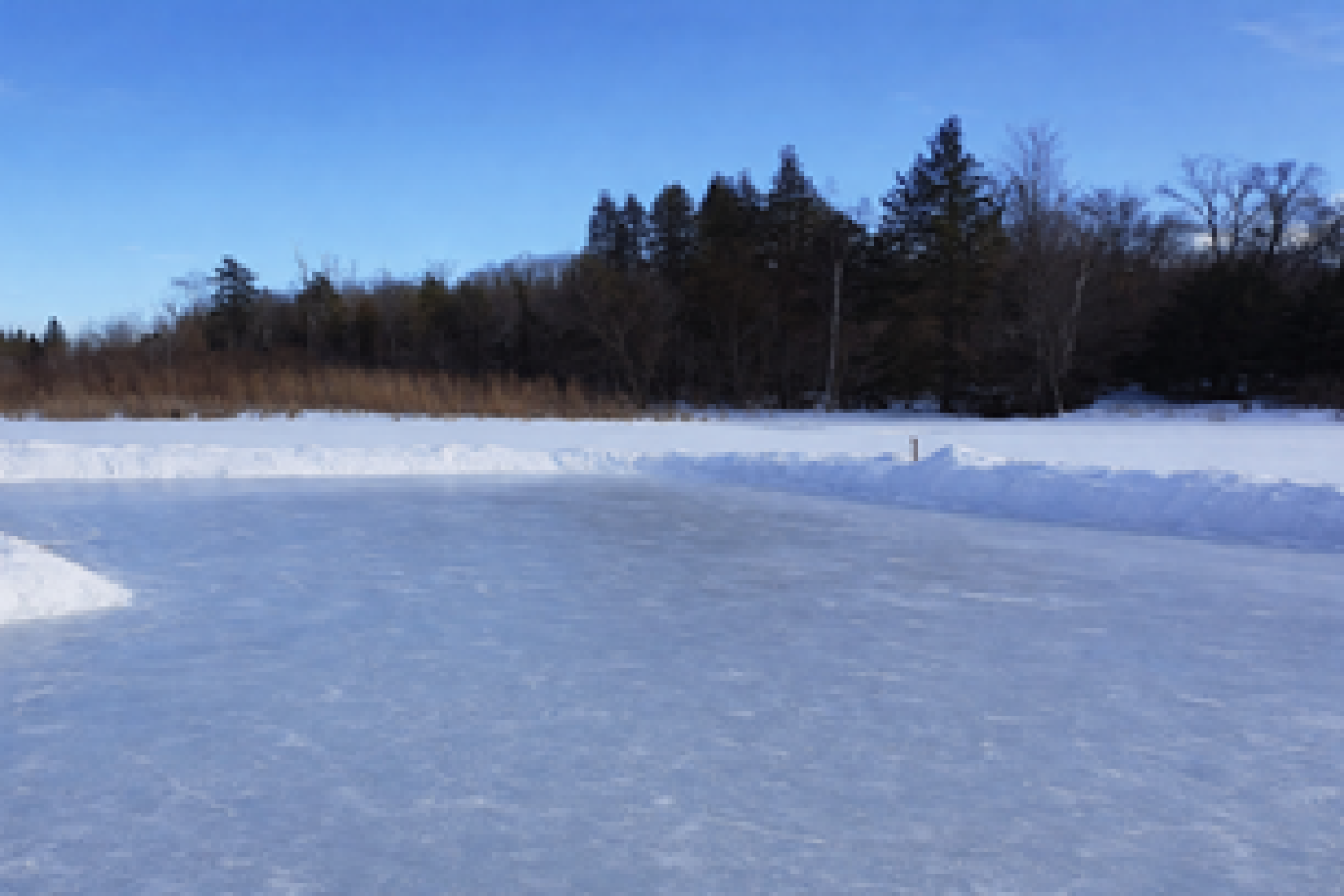 15660 Kennedy Rd, Stouffville - 24 Acres with 2 Acre Pond and Mature Forests