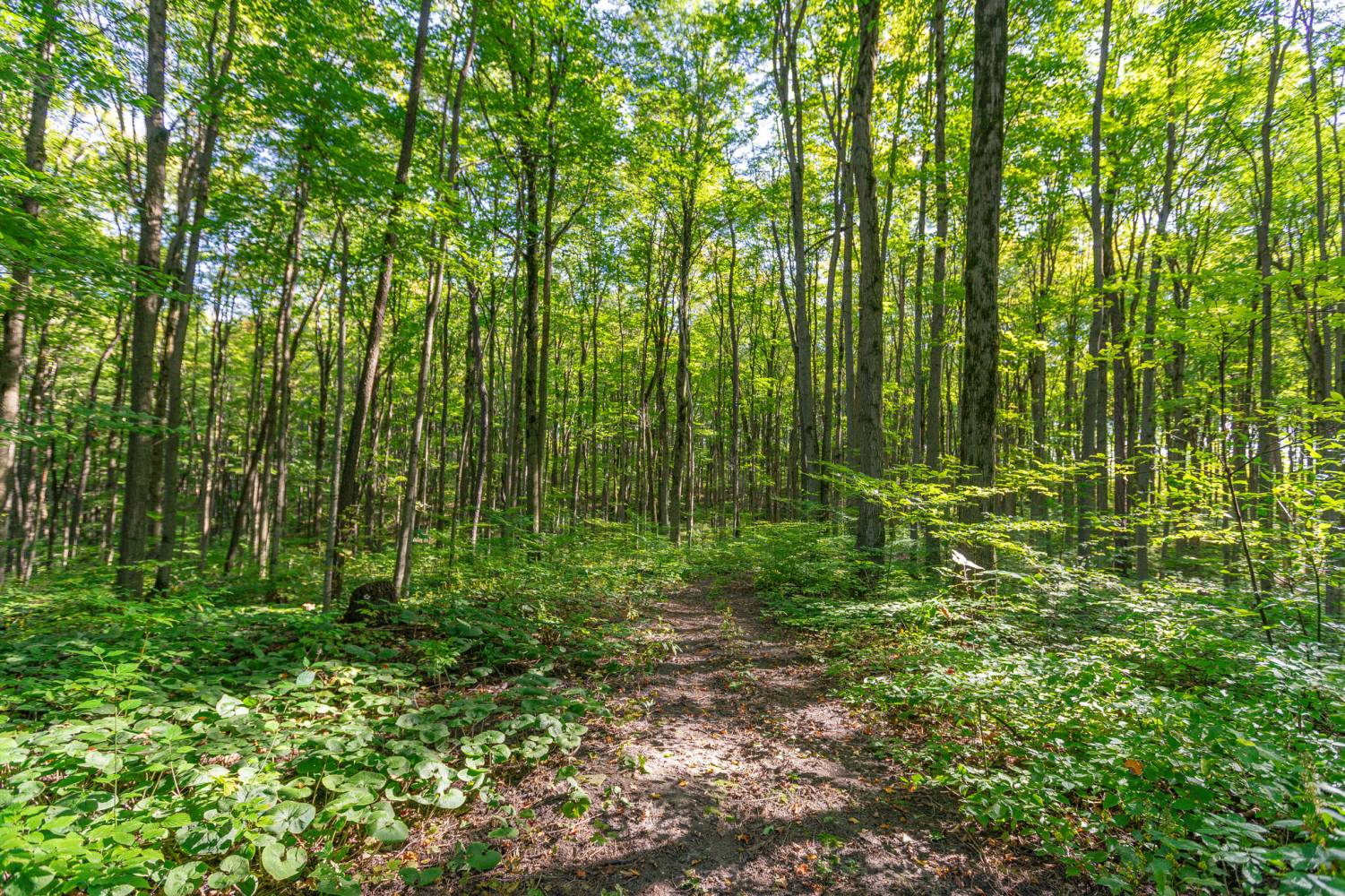 159 Highway 47, Uxbridge