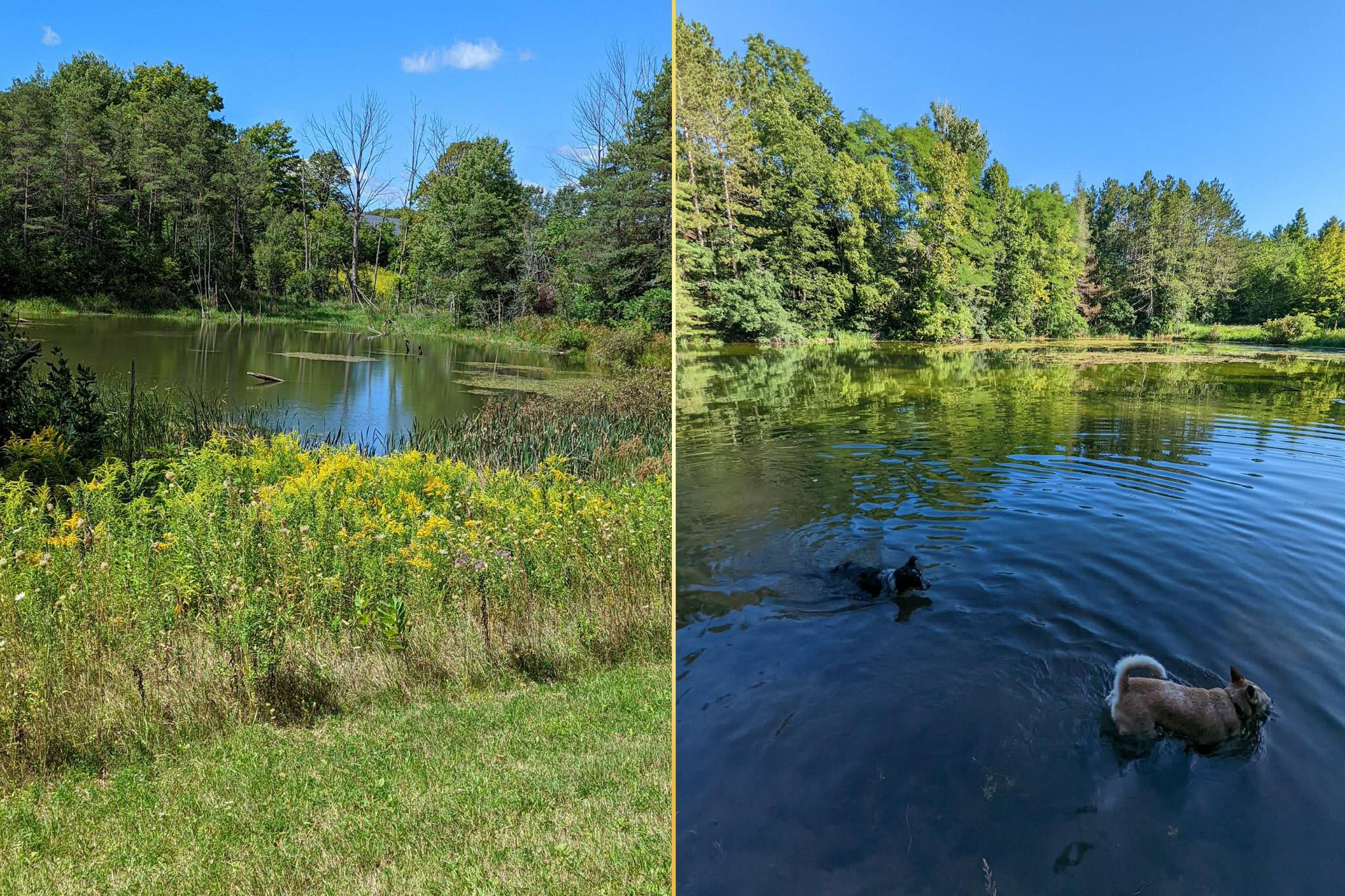 Picturesque pond at 159 Highway 47, Uxbridge