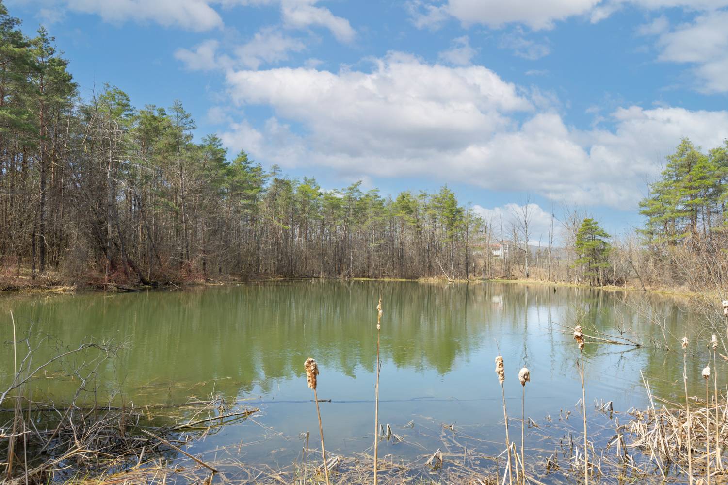 159 Highway 47, Uxbridge