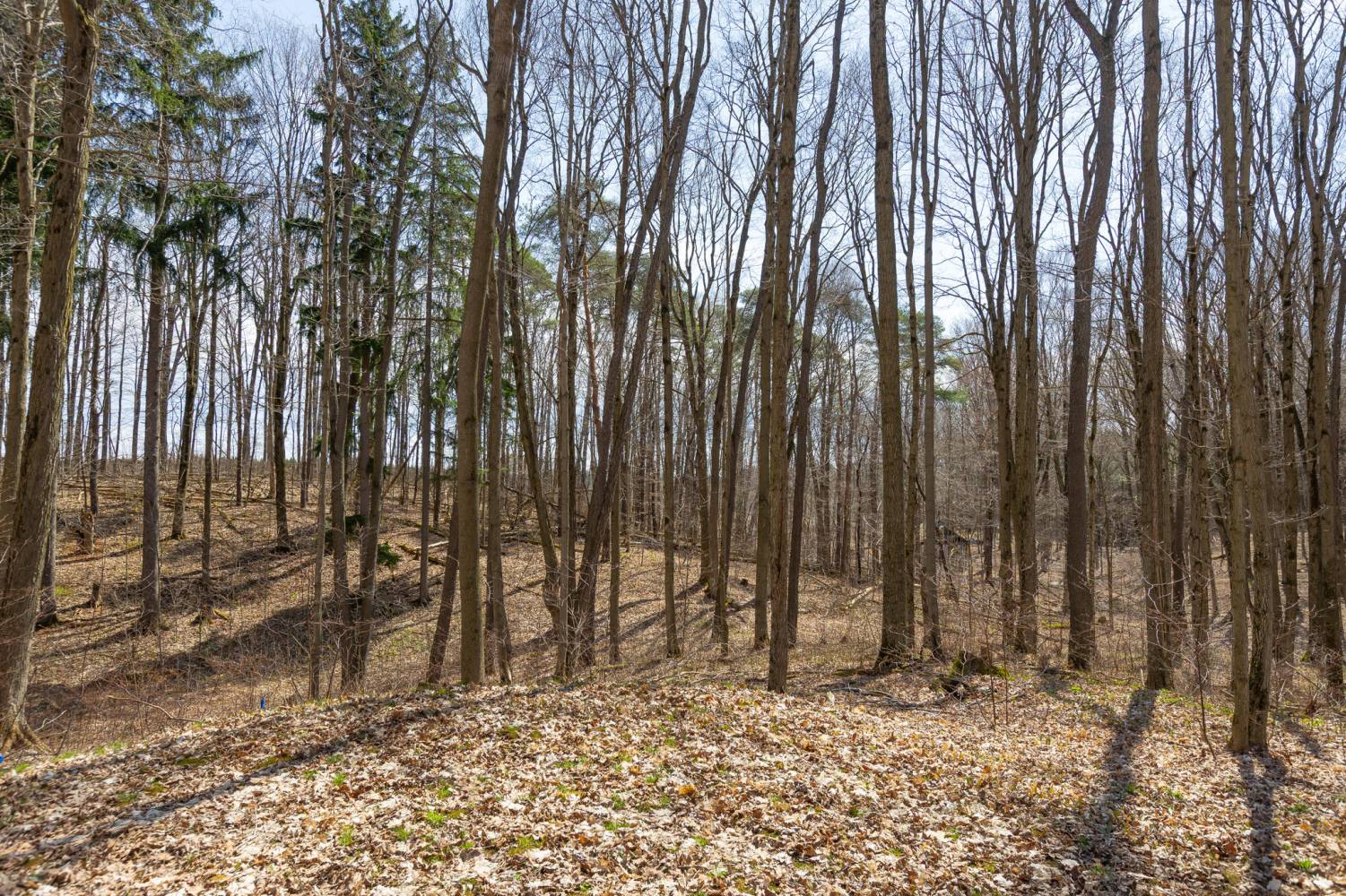 159 Highway 47, Uxbridge