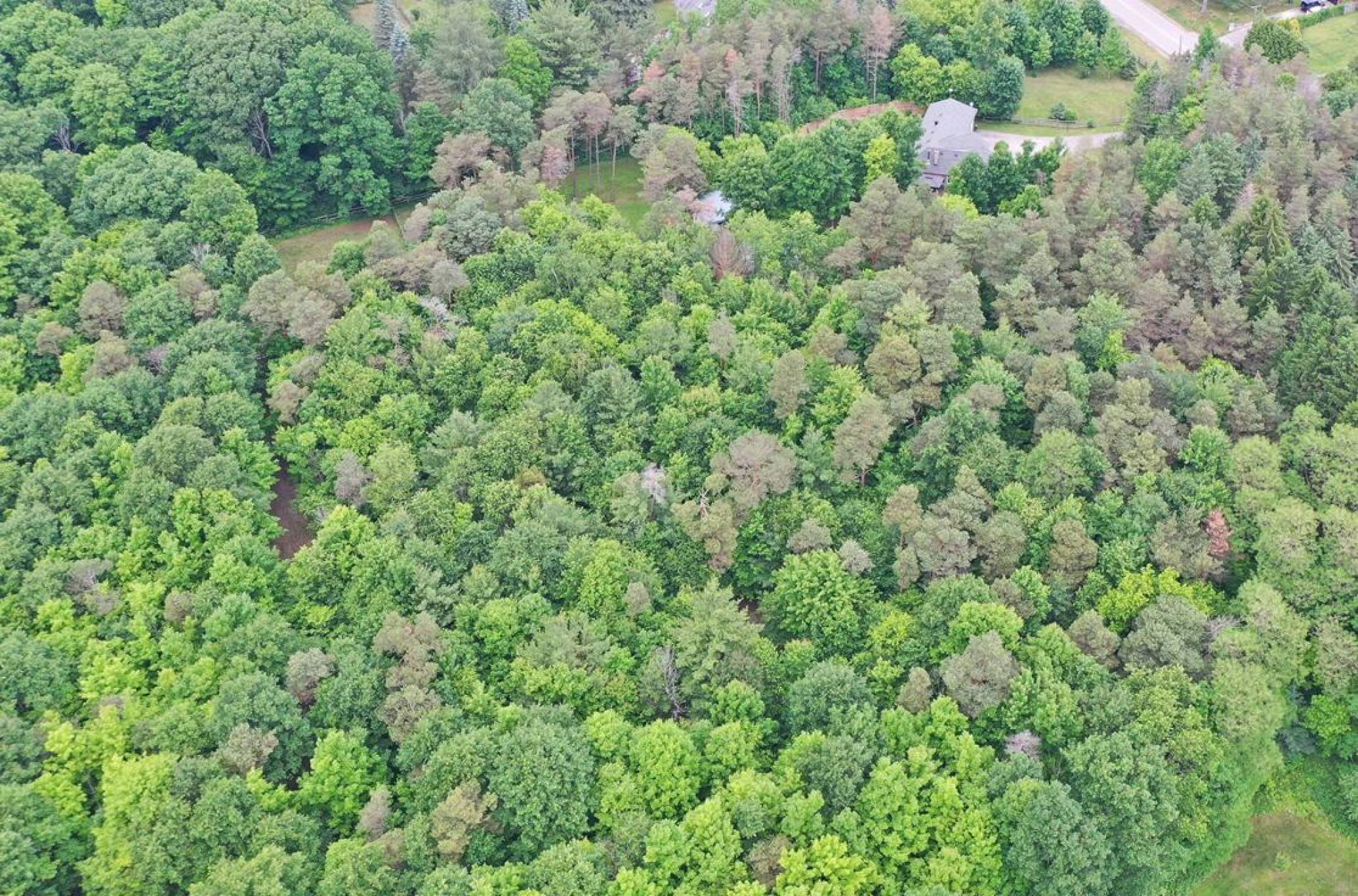 16832 McCowan Rd, Stouffville - 4.72 Acres with Barn, Paddocks and Storage Outbuilding