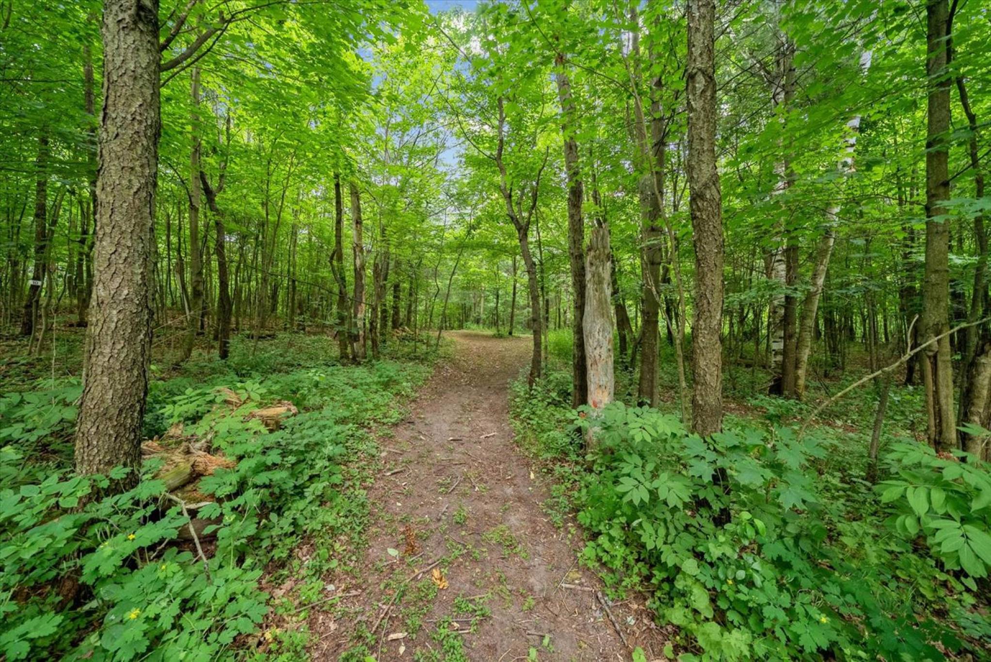 16832 McCowan Rd, Stouffville - 4.72 Acres with Barn, Paddocks and Storage Outbuilding