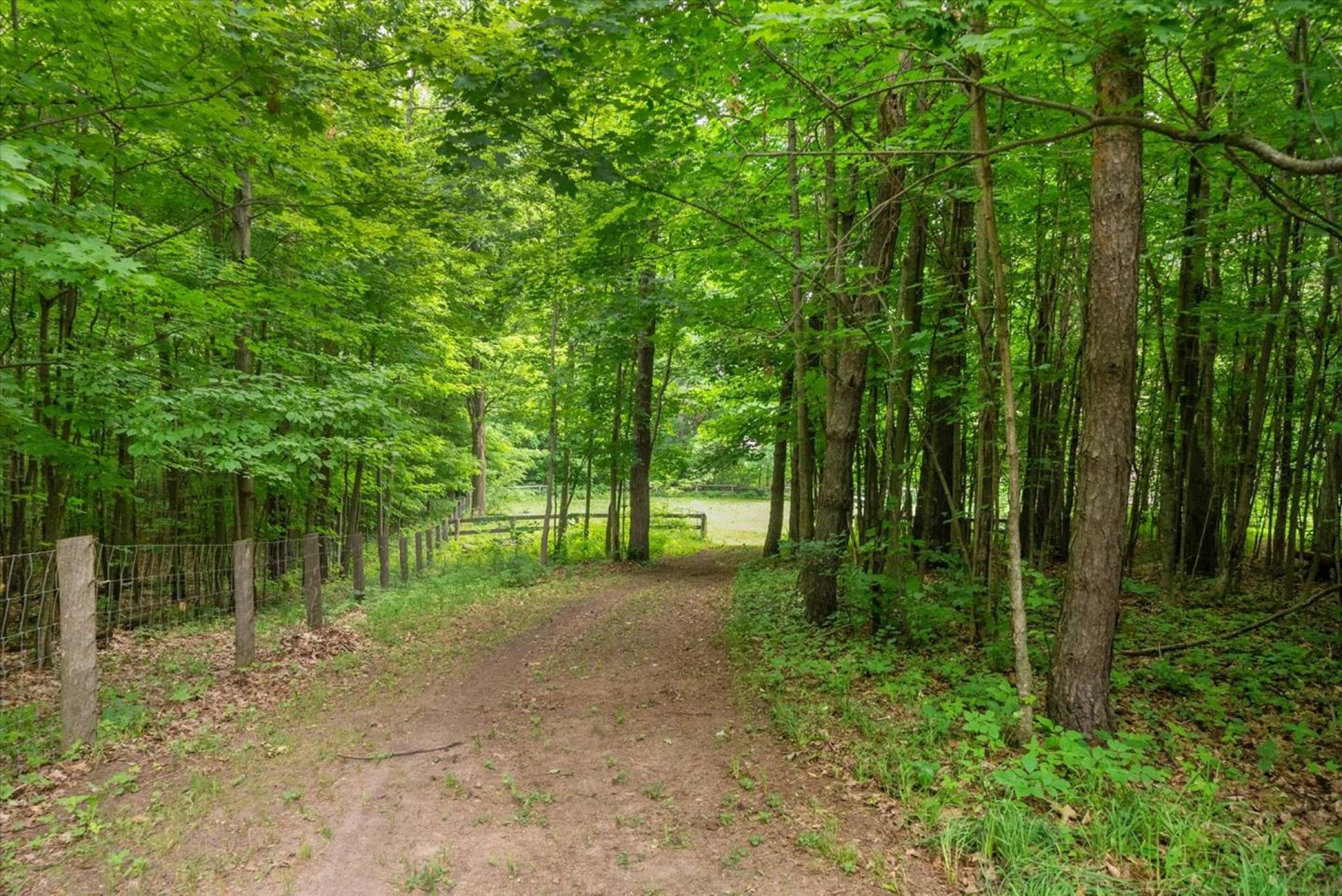 16832 McCowan Rd, Stouffville - 4.72 Acres with Barn, Paddocks and Storage Outbuilding