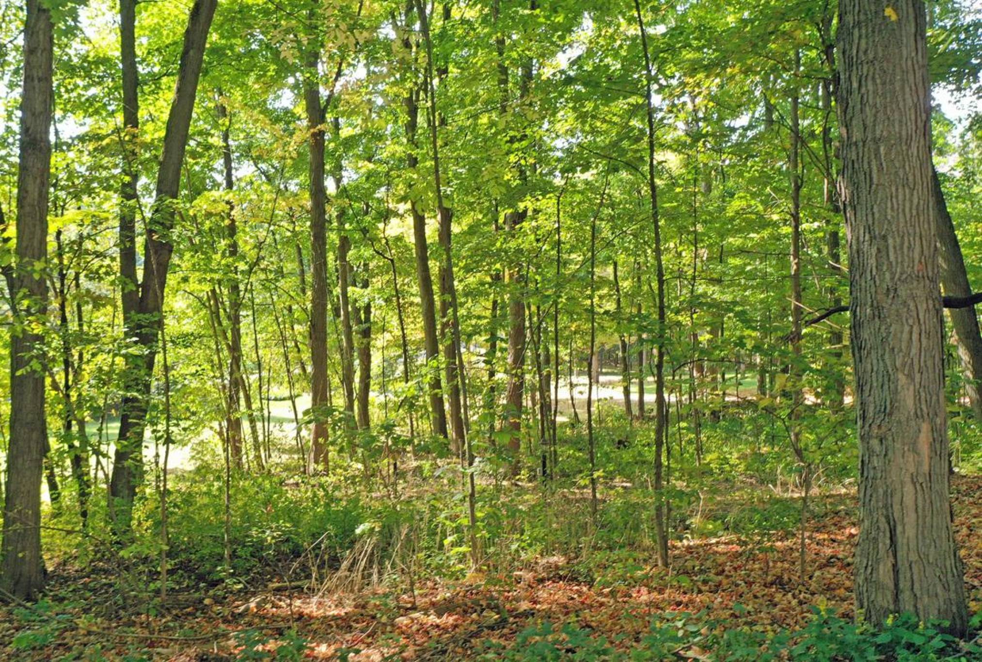 18 Blue Ridge Tr, Stouffville - 1.5 Acres in Prestigious Trail of the Woods