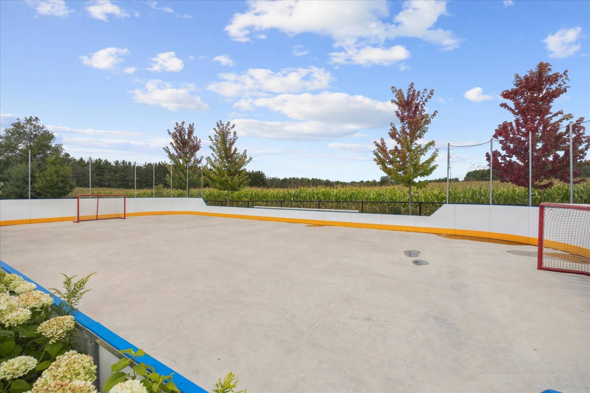 28 Wyndance Way - 
