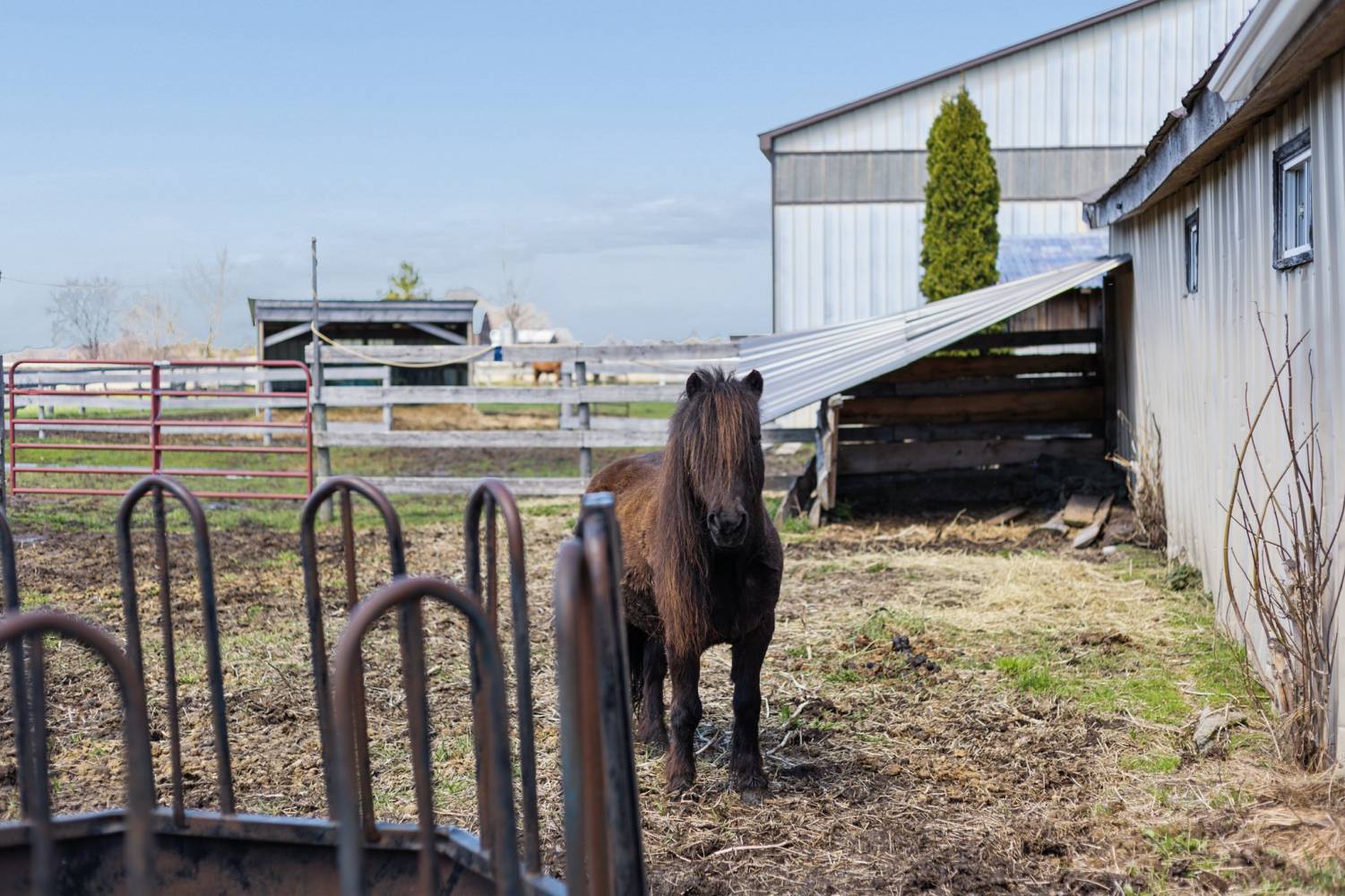 384 Feasby Road, Uxbridge