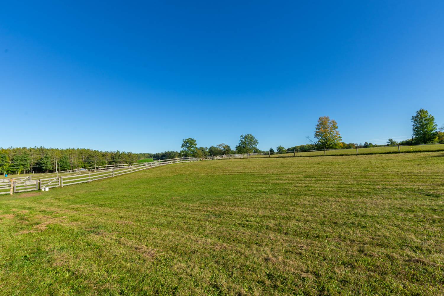 5550 Concession 7, Uxbridge