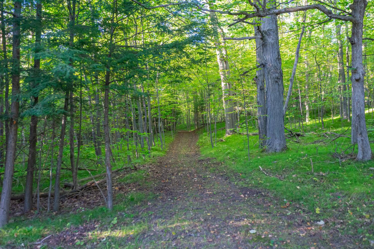 5550 Concession 7, Uxbridge