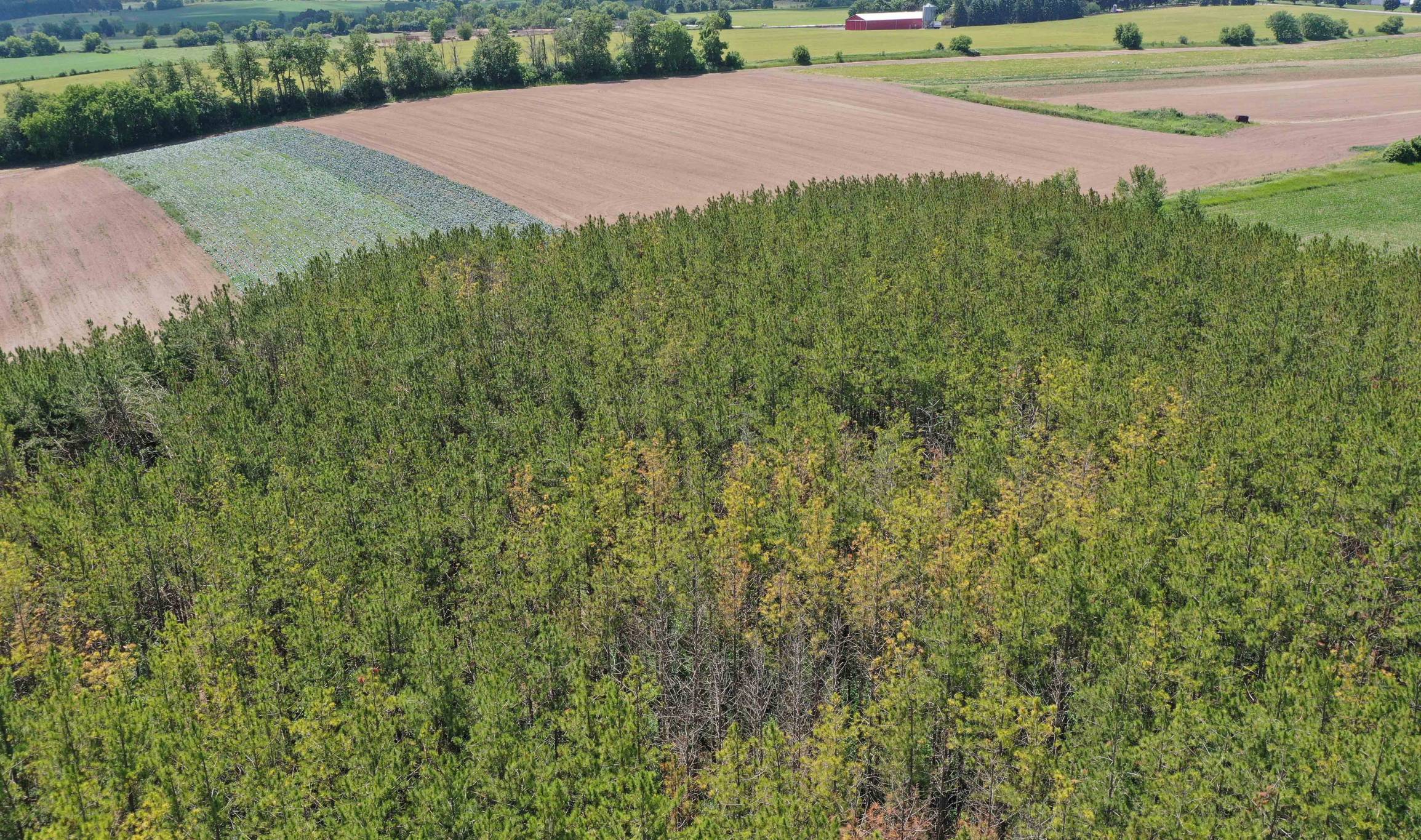 729 Fowlers Rd, Uxbridge 