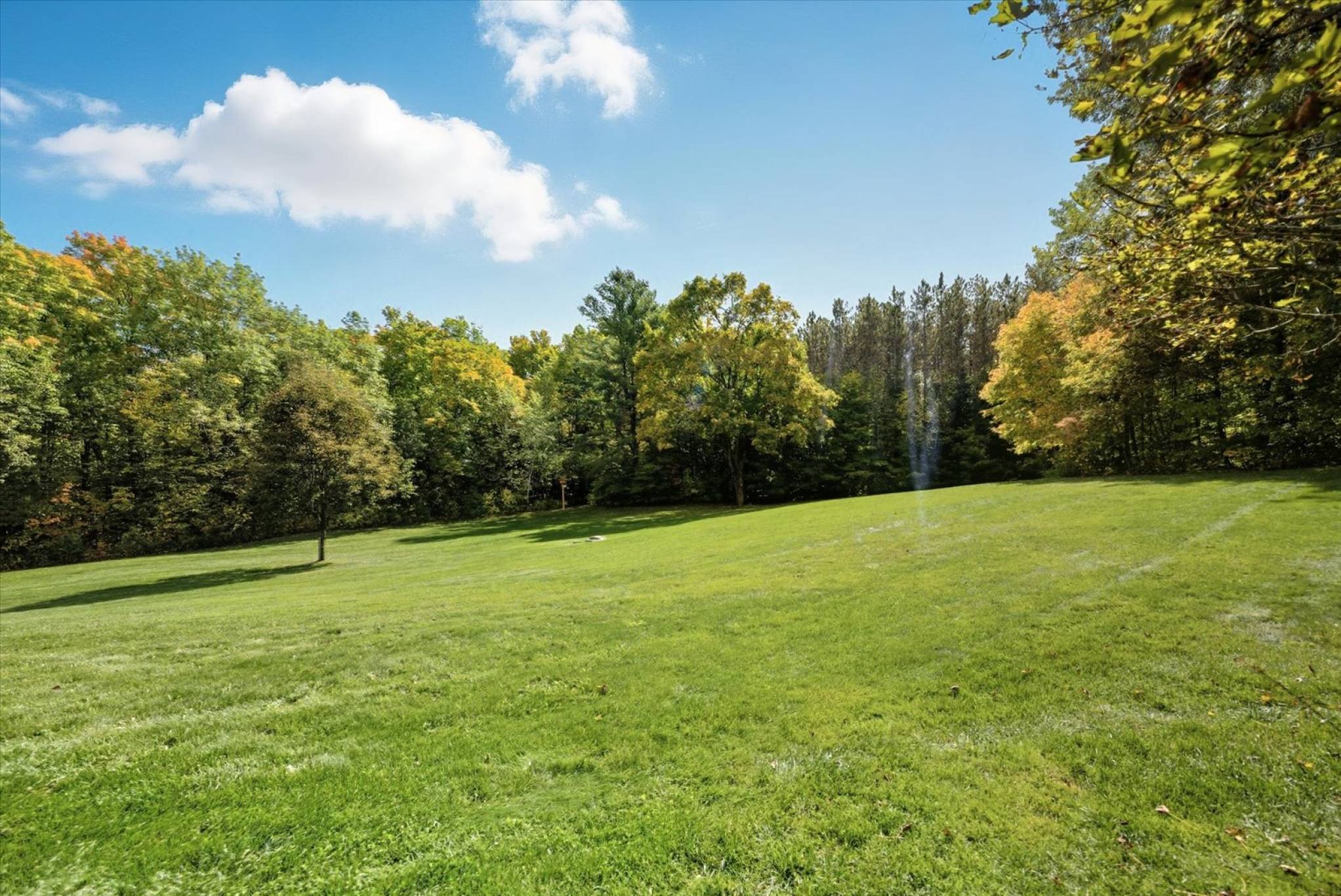 7300 Concession Rd 2, Uxbridge - 92 Acres of Pristine Forest with Pond and Guest House