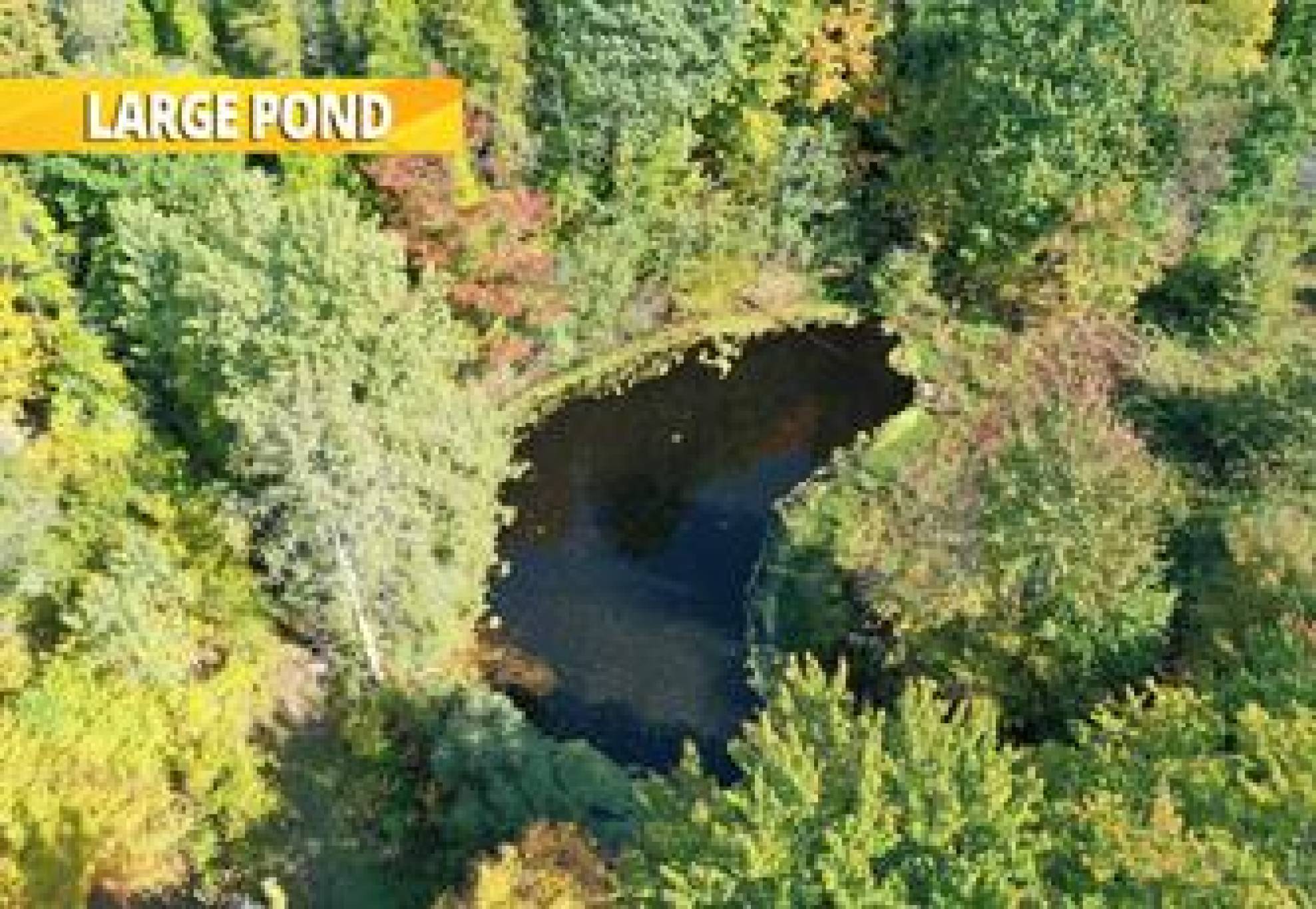 7300 Concession Rd 2, Uxbridge - 92 Acres of Pristine Forest with Pond and Guest House
