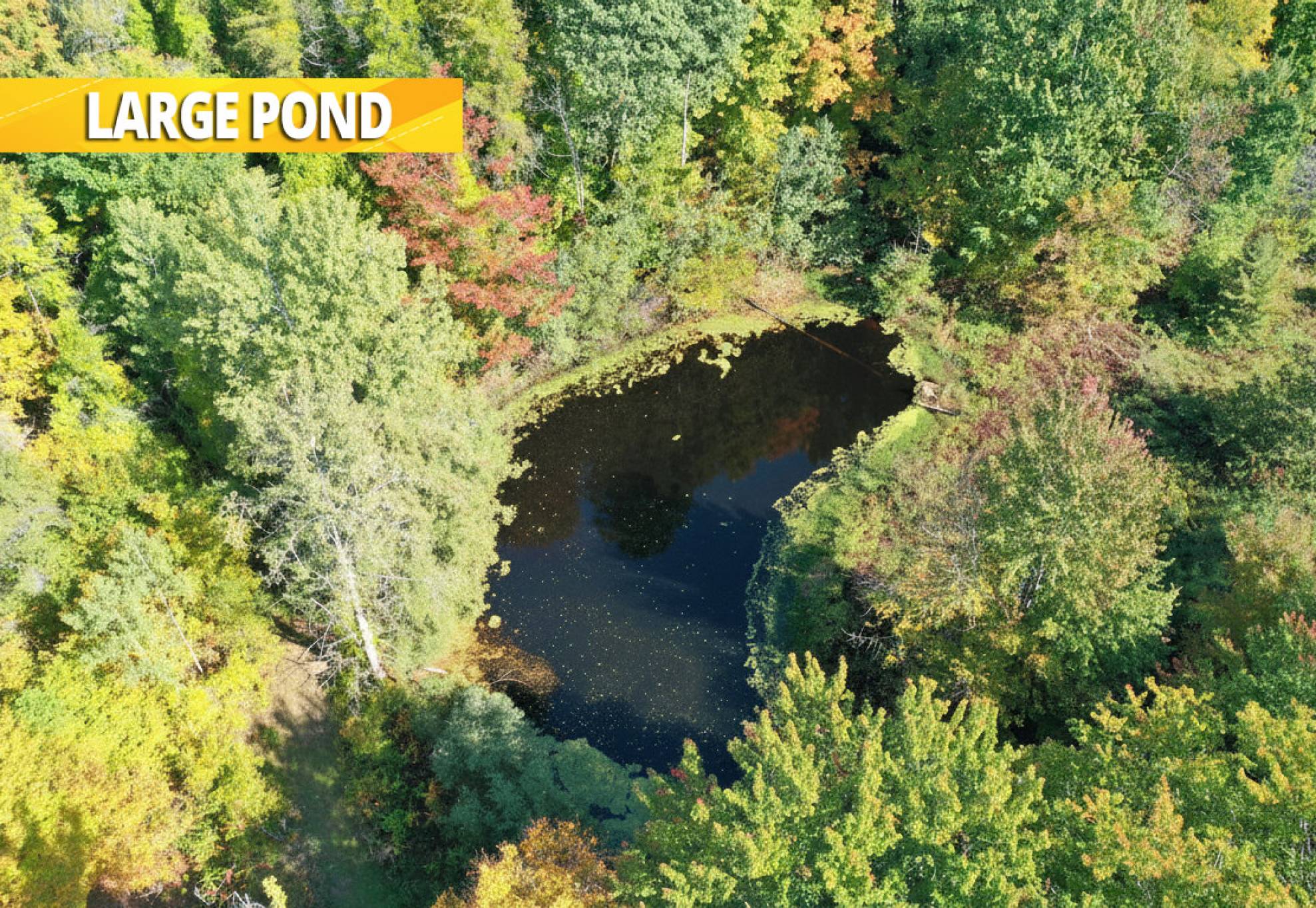 7300 Concession 2 - A 92-Acre Luxury Gated Estate with Private Forest Trails and Guest House