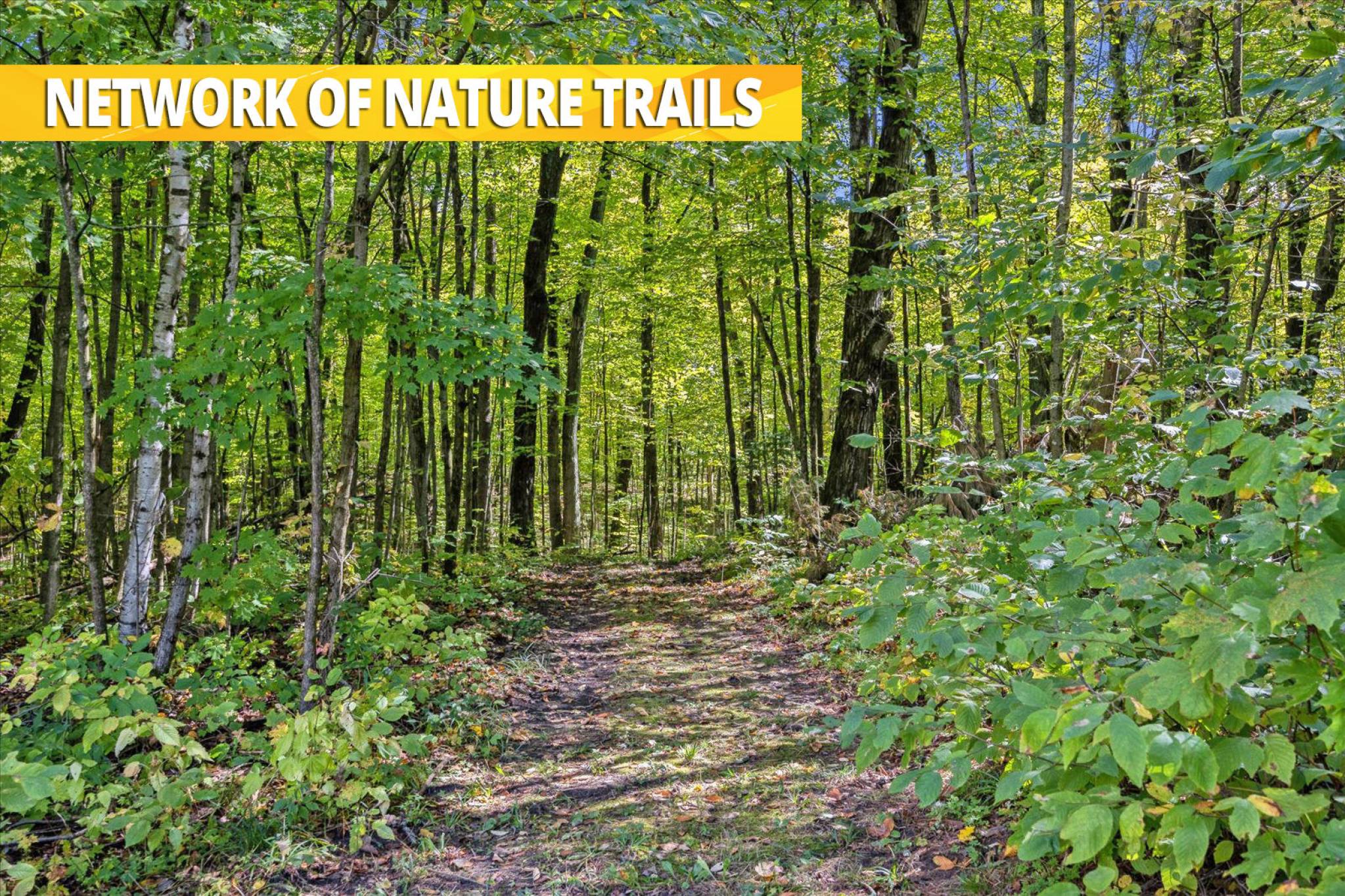 7300 Concession 2 - A 92-Acre Luxury Gated Estate with Private Forest Trails and Guest House