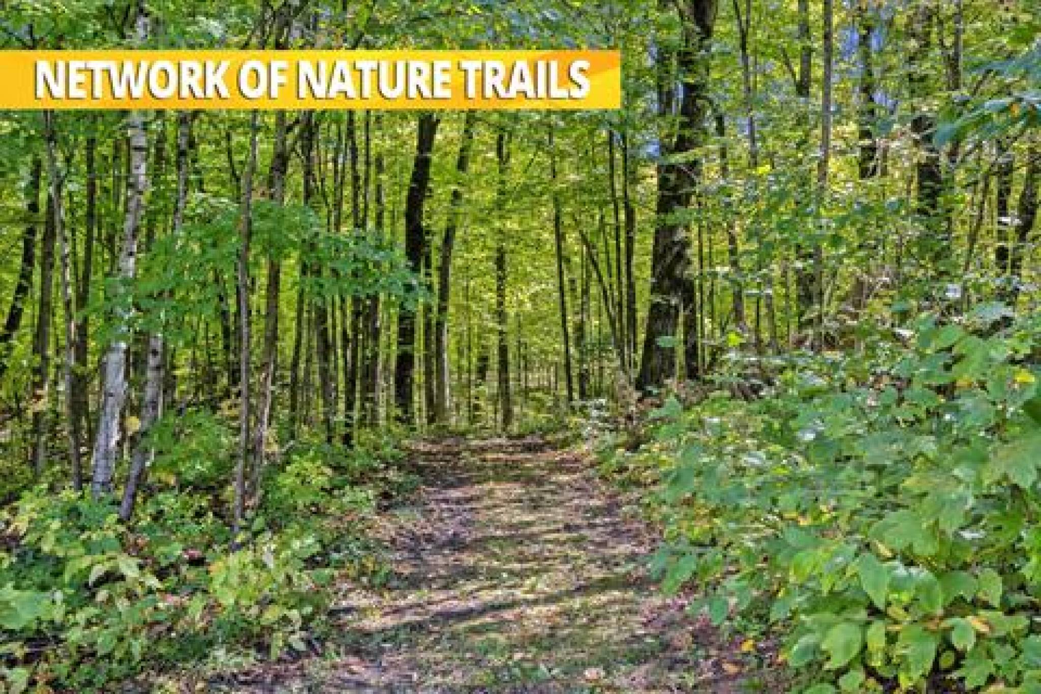 7300 Concession Rd 2, Uxbridge - 92 Acres of Pristine Forest with Pond and Guest House