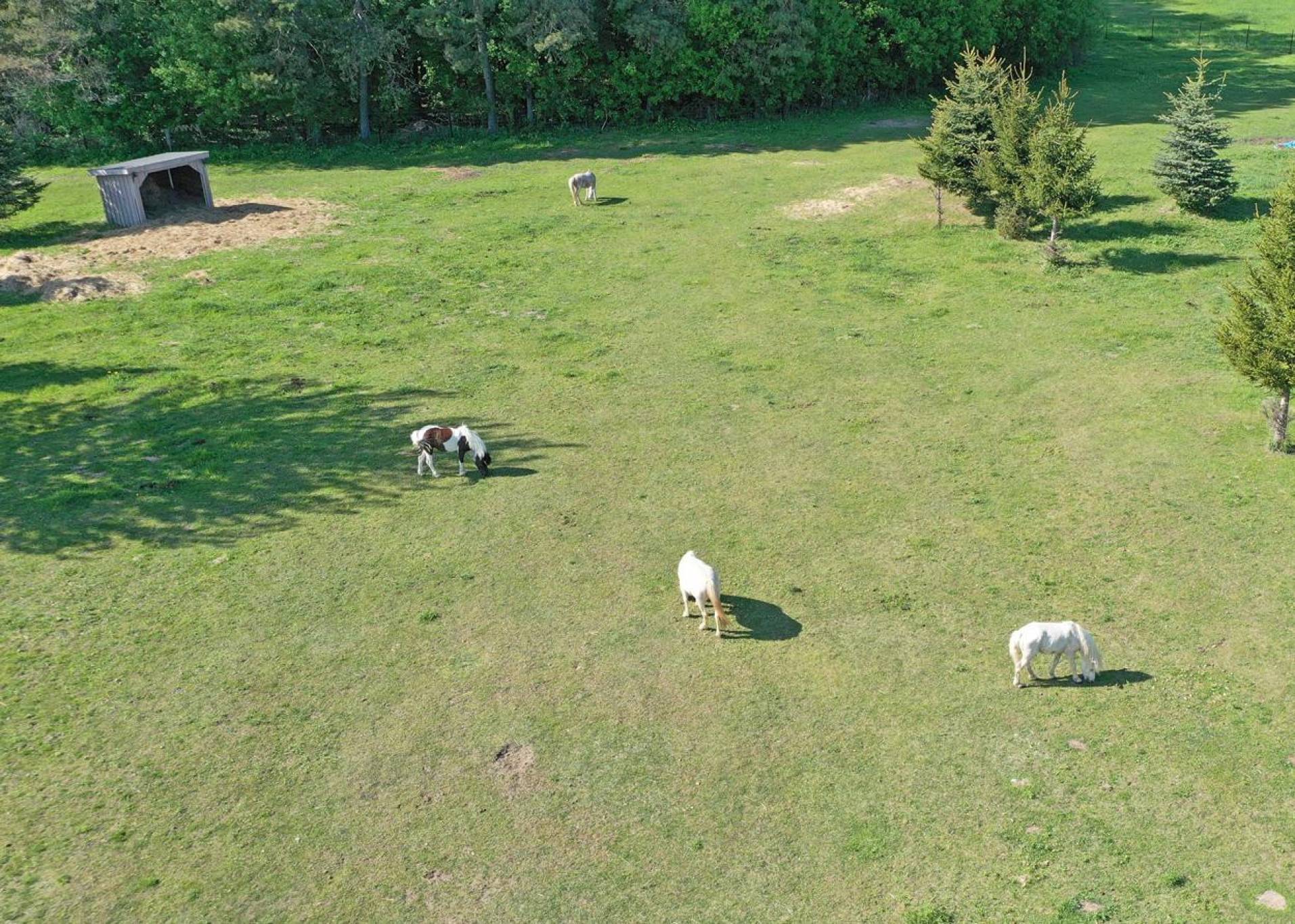 736 Ball Rd, Uxbridge - Stunning 30 Acre Country Estate Minutes to Town of Uxbridge